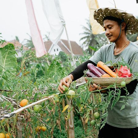 The Rice Joglo Eco-Stay Ubud  Ngoại thất bức ảnh