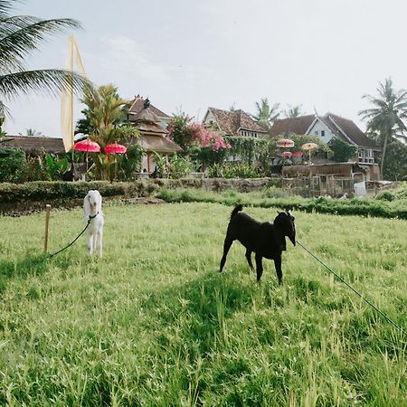 The Rice Joglo Eco-Stay Ubud  Ngoại thất bức ảnh