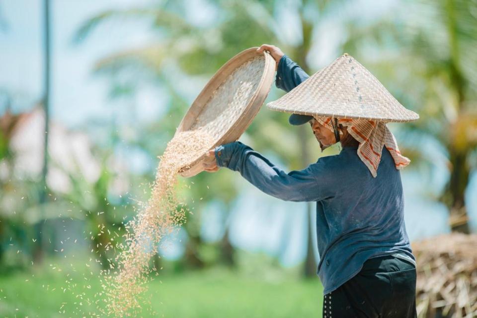 The Rice Joglo Eco-Stay Ubud  Ngoại thất bức ảnh