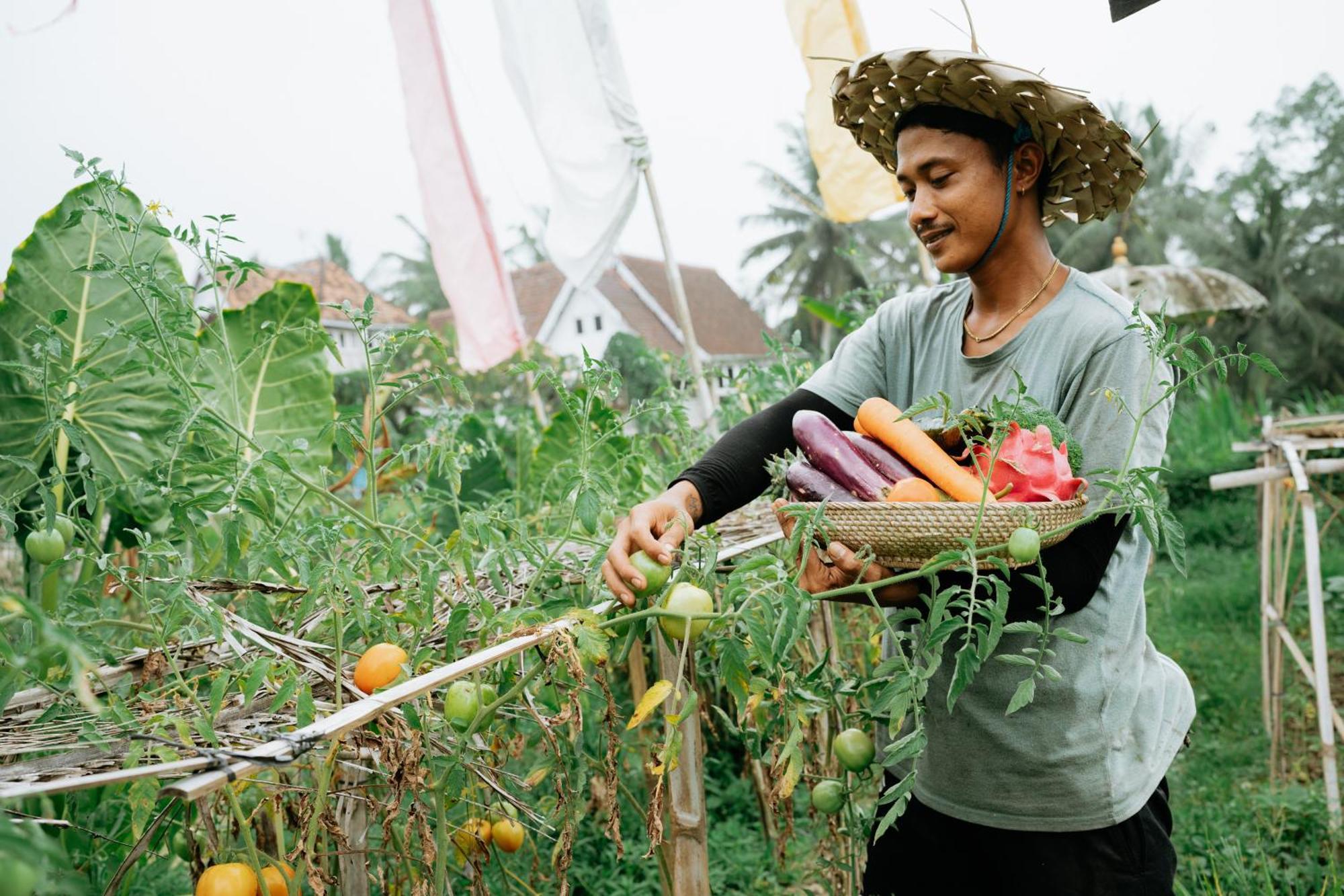 The Rice Joglo Eco-Stay Ubud  Ngoại thất bức ảnh